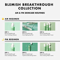 Blemish Breakthrough Control Basics Kit, 