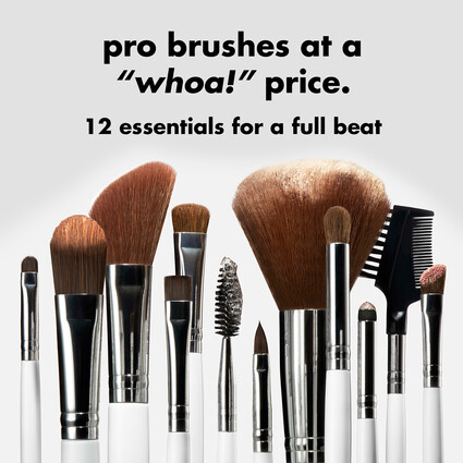 12 Essential Face and Eye Makeup Brush Collection