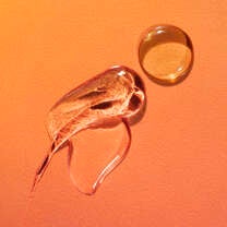 Bright Icon Vitamin C + E + Ferulic Serum, 