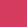 Fuchsia Forward - Fuchsia