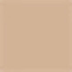 Swatch - 25 Light Neutral - light with neutral undertones