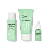 Blemish Breakthrough Control Basics Kit, 