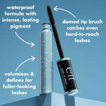 Waterproof Mascara Formula with Intense Lashing Pigment