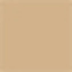 Swatch - 22 Light Warm - light with warm undertones