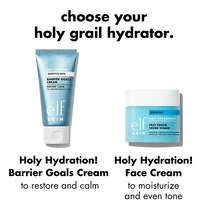Holy Hydration! Barrier Goals Cream, 