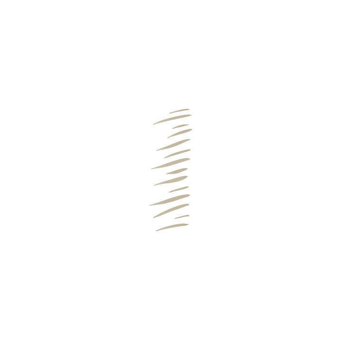 Taupe Micro-Fine Brow Pen Swatch