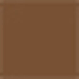 Swatch - 55 Deep Warm - deep with warm undertones